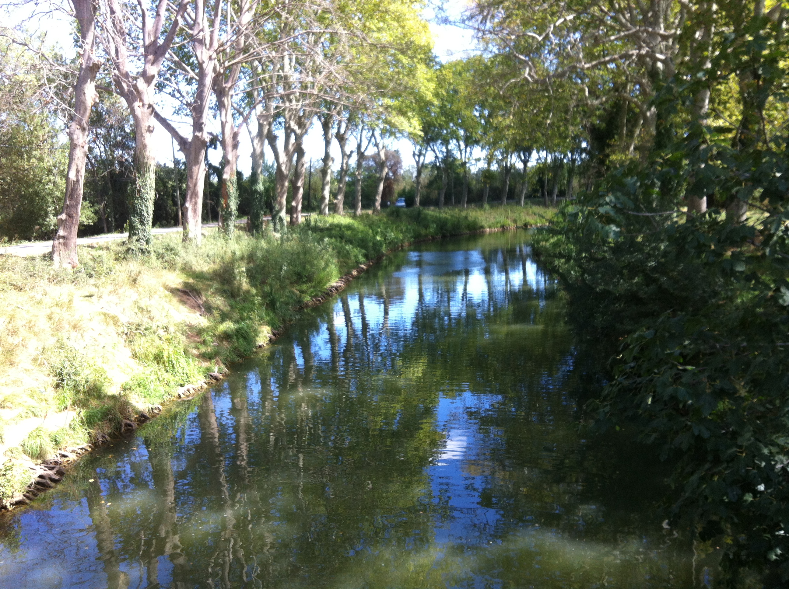 IMG_0085.JPG (2).JPG